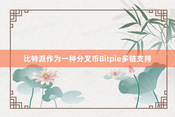 比特派作为一种分叉币Bitpie多链支持