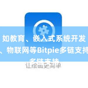 如教育、嵌入式系统开发、物联网等Bitpie多链支持