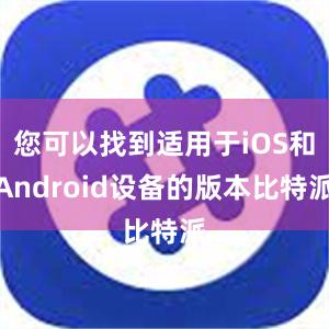 您可以找到适用于iOS和Android设备的版本比特派